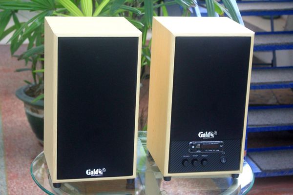 Loa GS31 Bookshelf 5 SG,  công suất 160w, Bass 4 inch, Tress 2 inch, bluetooth 5.0, cổng rca, khe usb, thiết kế loa thùng gỗ cao 38 cm, rộng 21 cm, sâu 21.5 cm. Bảo hành 12 tháng