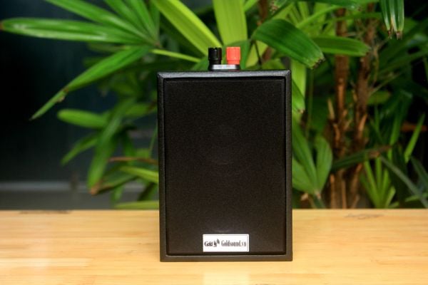 Loa vệ tinh treo tường Goldsound V12 Gold4cafe (1 loa) - công suất 12w, củ loa toàn dải cả âm Bass &Tress 3 inch, loa được thiết kế đập chậm để phù hợp với style quán dịch vụ, kích thước (Rộng*Cao*Sâu): 13*18*12.5 cm; chất liệu thùng gỗ 100%