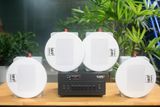 [Diện tích 80m2 + 2 Kênh] A384_TH Goldsound 2 vùng âm lượng 380w + 4 loa âm trần Goldsound VAT38_TH 38w, loa được thiết kế riêng cho quán, bật lớn không tạp âm, miễn phí công lắp đặt, bảo hành dài hạn 5 năm.