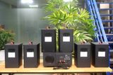 [Diện tích 120m2 + 02 Kênh] A384_DA Goldsound 2 vùng âm lượng 380w + 6 loa Goldsound V25C_DA 25w, loa được thiết kế riêng cho quán, bật lớn không tạp âm, miễn phí công lắp đặt, bảo hành dài hạn 5 năm.