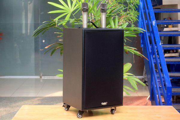 Loa di động D230PU_TH - MI, công suất 230w, pin 4 - 6 tiếng, kèm 2 Micro, 1 bass, 1 treble, bluetooth 5.0, cổng rca, khe usb, thiết kế loa thùng gỗ, cao 57.25 cm, rộng 35.5 cm, sâu 36 cm. Bảo hành 12 tháng