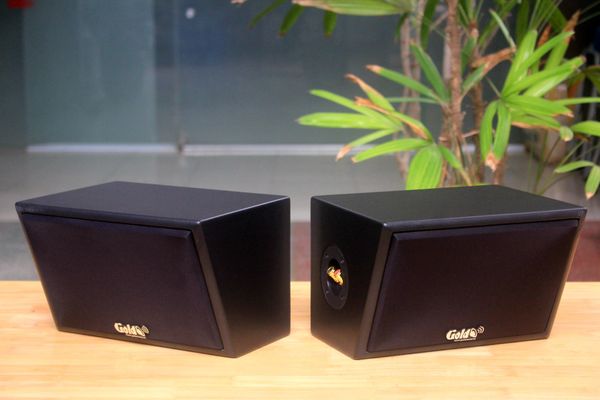 Loa vệ tinh sân vườn Goldsound V50NT-PU (ngoài trời, sl 1 chiếc), công suất 50w, thiết kế chống nước, loa bass 4 inch, treble 2 inch, kích thước rộng 26 cm, cao 17 cm, sâu 20 cm, phủ da cao cấp, bảo hành 12 tháng.