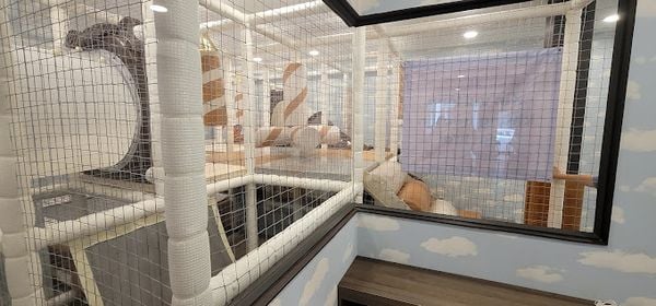 Loa Goldsound cho nhà hàng HANMAEUM BBQ Chi nhánh Phú Mỹ Hưng, Quận 7, loa được thiết kế riêng cho quán, bật lớn không tạp âm, miễn phí công lắp đặt, bảo hành dài hạn 5 năm