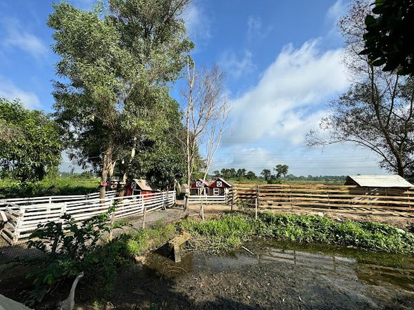 Loa Goldsound cho BINIFARM - Tropical Retreat, TP HCM, amply 2 kênh 200w Goldsound, bluetooth 5.0, loa 13w, loa được thiết kế riêng cho quán, bật lớn không tạp âm, miễn phí công lắp đặt, bảo hành dài hạn 5 năm