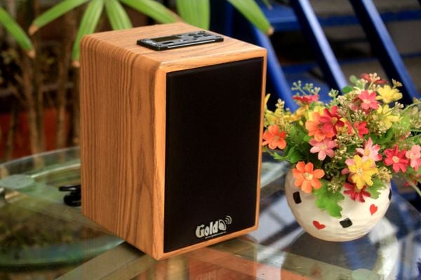 Loa để bàn HiFi Mini Goldsound G22, công suất 30w, Bass 3 inch, Tress 2 inch, bluetooth 5.0, cổng rca, khe usb, thiết kế loa thùng gỗ cao 22 cm, rộng 15 cm, sâu 15.5 cm. Bảo hành 12 tháng