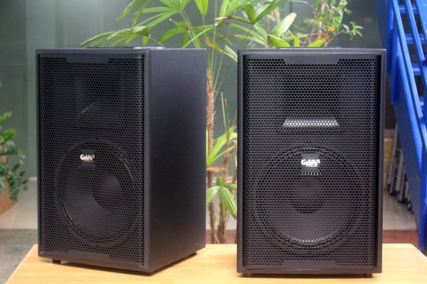 Loa Acoustic V258PU Goldsound (Số lượng 1 loa), công suất 258w, loa bass 30 cm, treble kèn, kích thước rộng 39 cm, cao 60.5 cm, sâu 39 cm, phủ da PVC cao cấp, bảo hành dài hạn 5 năm.