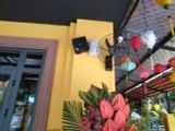 Loa cho Góc Hội An Cafe, Lê Văn Thiêm, Hà Nội