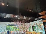 Loa cafe loa nhà hàng Loa Goldsound lắp đặt âm thanh cho BANK COFFEE, KCN Vsip, Phù Chẩn, Từ Sơn, Bắc Ninh
