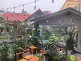 Roji Cafe lắp đặt âm thanh của loa Goldsound. ĐC Ba Đình, Hà Nội