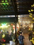 Goldsound lắp đặt hệ thống âm thanh cho quán cafe tại Trảng Bàng, Tây Ninh