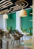 Loa Goldsound cho chuỗi Gemini Coffee tại Mê Linh, Amply 4 - 6 vùng âm lượng, loa được thiết kế riêng cho quán, bật lớn không tạp âm, miễn phí công lắp đặt, bảo hành dài hạn 5 năm.
