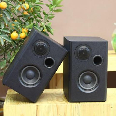 Loa vệ tinh Gold4cafe 28W