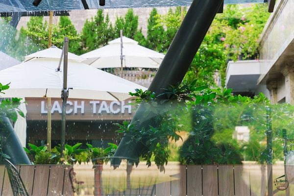 Loa Goldsound cho Lách Tách Cafe - Hạ Long, Amply 4 - 6 vùng âm lượng, loa được thiết kế riêng cho quán, bật lớn không tạp âm, miễn phí công lắp đặt, bảo hành dài hạn 5 năm.