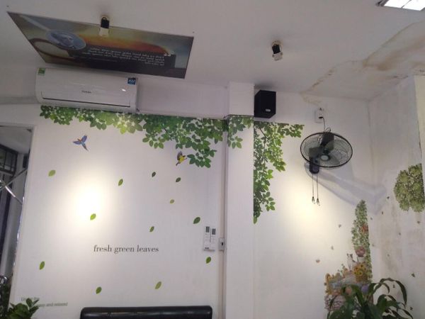 Loa Goldsound cho Thanh Nhàn Coffee & Milk tea, Cầu Giấy, Hà Nội,  Amply 4 - 6 vùng âm lượng, loa được thiết kế riêng cho không gian quán, miễn phí công lắp đặt, bảo hành dài hạn 5 năm.