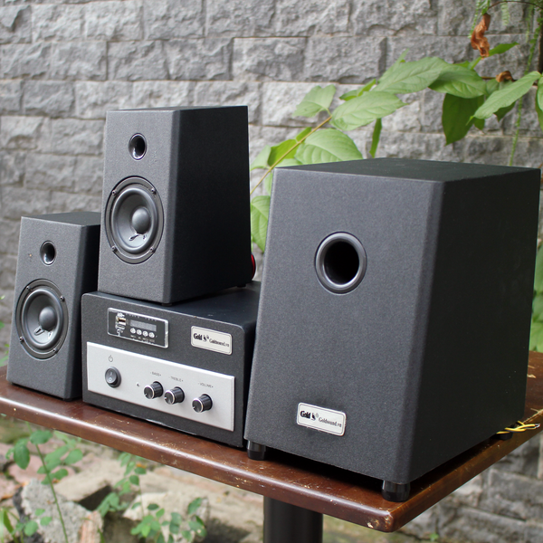 Loa vi tính W70 – 2019: có âm ly rời.