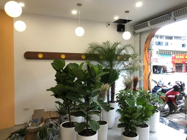 Âm thanh cafe được Goldsoud lắp đặt tại LAIKA Cafe Đặng Tiến Đông, Hà Nội