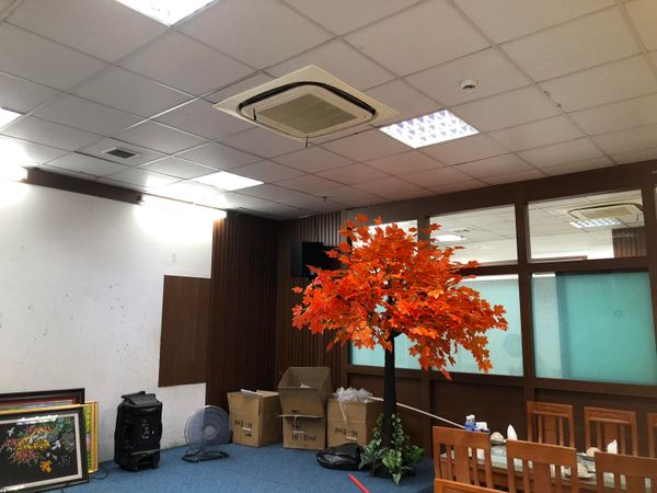 Loa Goldsound cho Nhà Hàng Hương Duyên Chung Cư Lideco, Hạ Long, Amply 4 - 6 vùng âm lượng, loa được thiết kế riêng cho quán, bật lớn không tạp âm, miễn phí công lắp đặt, bảo hành dài hạn 5 năm.