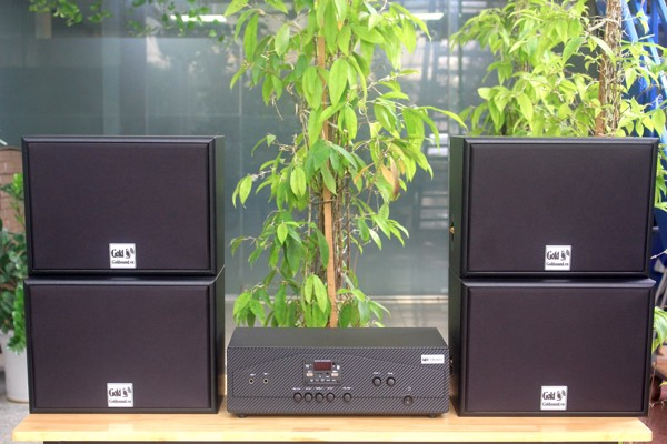 Loa Goldsound cho Pink pong - Buffet, Q7, loa được thiết kế riêng cho quán, bật lớn không tạp âm, miễn phí công lắp đặt, bảo hành dài hạn 5 năm