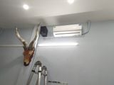 Loa Goldsound cho Master Shop - 449 Trương Định, amply 2 kênh 380w, bluetooth 5.0, loa V25C-25w, loa được thiết kế riêng cho quán, bật lớn không tạp âm, miễn phí công lắp đặt, bảo hành dài hạn 5 năm
