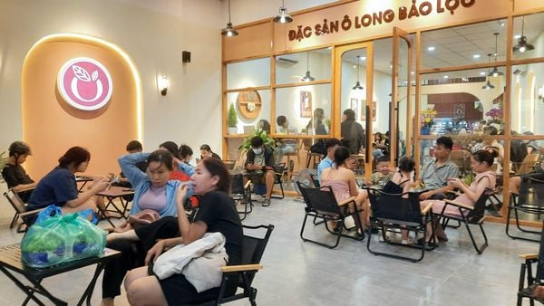 Hệ thống âm thanh cho Oola - Trà Ô Long Đậm Vị (miễn phí lắp đặt)