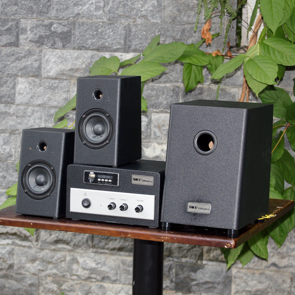 Loa vi tính W70 – 2019: có âm ly rời.