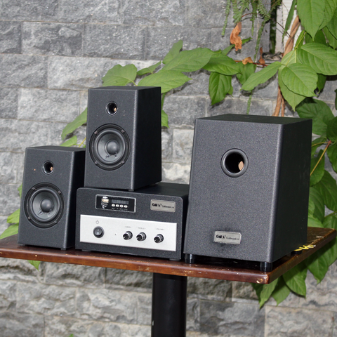 Loa vi tính W70 – 2019: có âm ly rời.