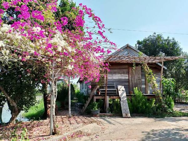 Loa cho quán La's Farmstay, Trảng Bàng, Tây Ninh, loa được thiết kế riêng cho quán, bật lớn không tạp âm, miễn phí công lắp đặt, bảo hành dài hạn 5 năm
