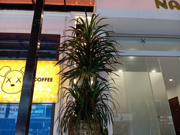 Loa Goldsound cho NACI Coffee, Hà Đông, Hà Nội, amply 2 kênh 380w, bluetooth 5.0, loa V40C - 40w, loa âm trần VAT28 - 28w, loa được thiết kế riêng cho quán, bật lớn không tạp âm, miễn phí công lắp đặt, bảo hành dài hạn 5 năm