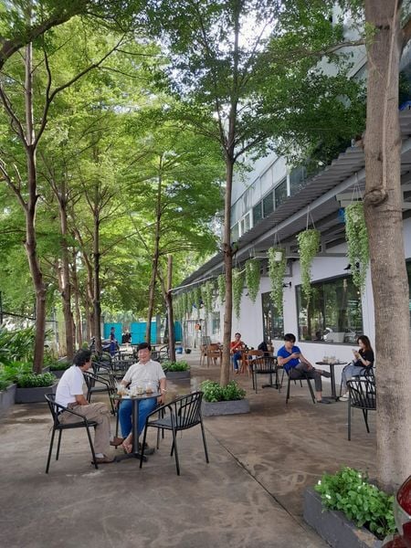 Loa Goldsound cho LEN Coffee, loa được thiết kế riêng cho quán, bật lớn không tạp âm, miễn phí công lắp đặt, bảo hành dài hạn 5 năm