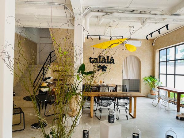 Loa Goldsound cho quán cafe Talàlá, Hà Nội, amply bluetooth 5.0, loa 13w, loa được thiết kế riêng cho quán, bật lớn không tạp âm, miễn phí công lắp đặt, bảo hành dài hạn 5 năm