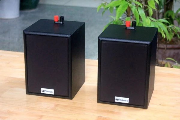 Loa Goldsound cho Cửa hàng tiện lợi Lemon24, Bắc Giang, amply 2 kênh Goldsound, bluetooth 5.0, loa 13w, loa được thiết kế riêng cho quán, bật lớn không tạp âm, miễn phí công lắp đặt, bảo hành dài hạn 5 năm