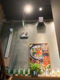 Loa Goldsound cho Izakaya MATSUKI, Hà Nội, amply 2 kênh 380w, bluetooth 5.0, loa V25C-25w, loa được thiết kế riêng cho quán, bật lớn không tạp âm, miễn phí công lắp đặt, bảo hành dài hạn 5 năm
