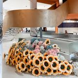 Loa Goldsound cho Love in Coffee, Phú Thọ, loa được thiết kế riêng cho quán, bật lớn không tạp âm, miễn phí công lắp đặt, bảo hành dài hạn 5 năm