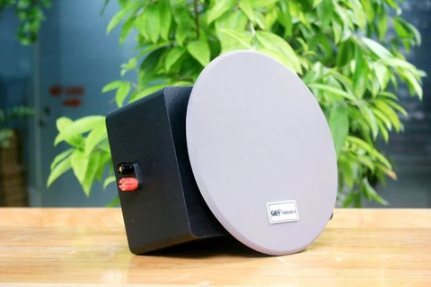 THANH LÝ loa âm trần 16w Goldsound (thùng gỗ, công suất 16w)  - BH 6 tháng