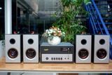 Loa treo tường Gold4Cafe: 01 amly A400 + 04 loa treo tường V26