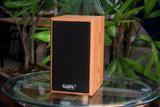 THANH LÝ loa treo tường 15w Goldsound, công suất 15w, kích thước rộng 17 cm, cao 26.5 cm, sâu 22 cm - BH 6 tháng