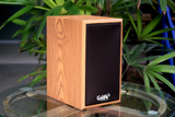 THANH LÝ loa treo tường 15w Goldsound, công suất 15w, kích thước rộng 17 cm, cao 26.5 cm, sâu 22 cm - BH 6 tháng
