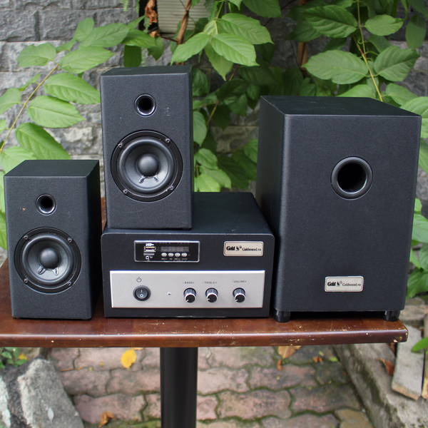 Loa vi tính W70 – 2019: có âm ly rời.