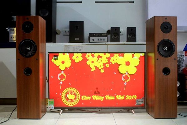 Dàn karaoke gia đình: W250 (đã tích hợp amply)