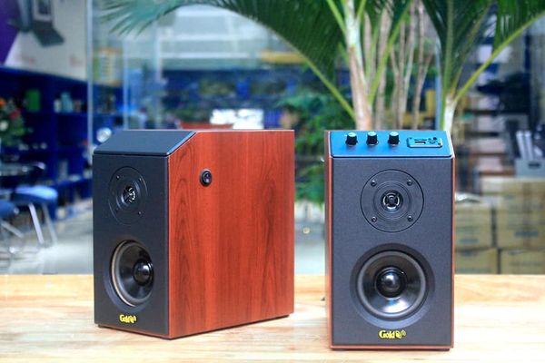 Loa vi tính GS51 Basic