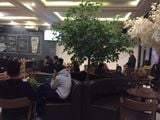 Loa Goldsound cho Q Coffee Việt Yên, Amply 4 - 6 vùng âm lượng, loa được thiết kế riêng cho quán, bật lớn không tạp âm, miễn phí công lắp đặt, bảo hành dài hạn 5 năm.