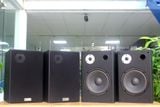 Loa vệ tinh V100 - 100w (1 loa)