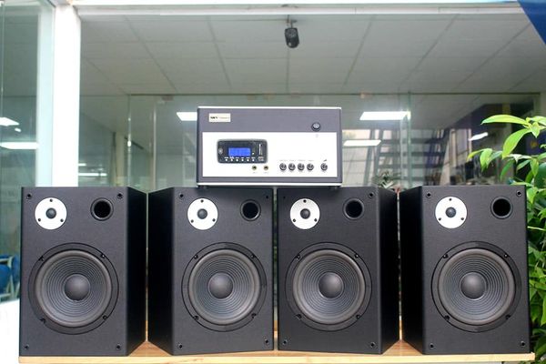 Loa vệ tinh V100 - 100w (1 loa)