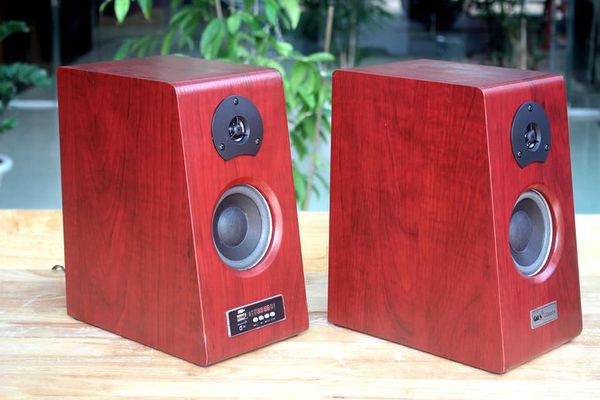 Loa HIFI GS56