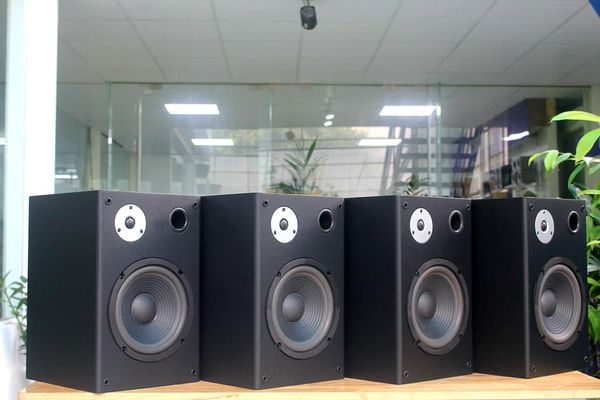 Loa vệ tinh V100 - 100w (1 loa)