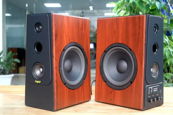 Loa HiFi W120