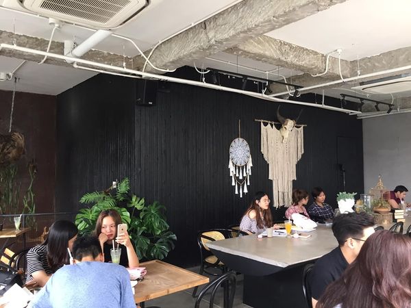 Loa cho Tropical Forest, Amply 4 - 6 vùng âm lượng, loa được thiết kế riêng cho quán, bật lớn không tạp âm, miễn phí công lắp đặt, bảo hành dài hạn 5 năm.