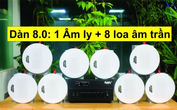 [Diện tích 100m2 + 2 Kênh] Gold4cafe 8.0 (01 Amply + 8 loa âm trần V12), loa được thiết kế riêng cho quán, bật lớn không tạp âm, bảo hành dài hạn 5 năm.