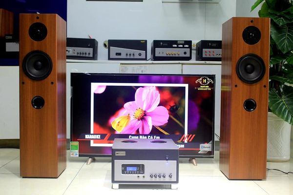 Dàn karaoke gia đình V260  (cặp loa V260 và âm ly A800)