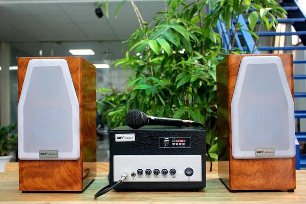 Dàn mini V310 - vân gỗ